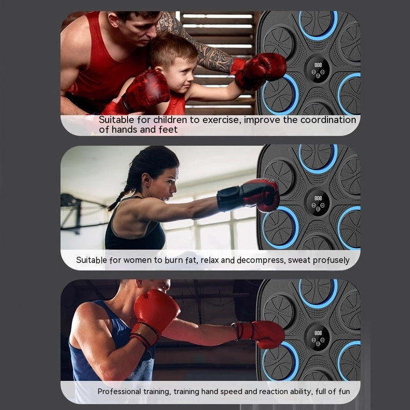 Music Boxing Target Training Wall Target Fitness Equipment